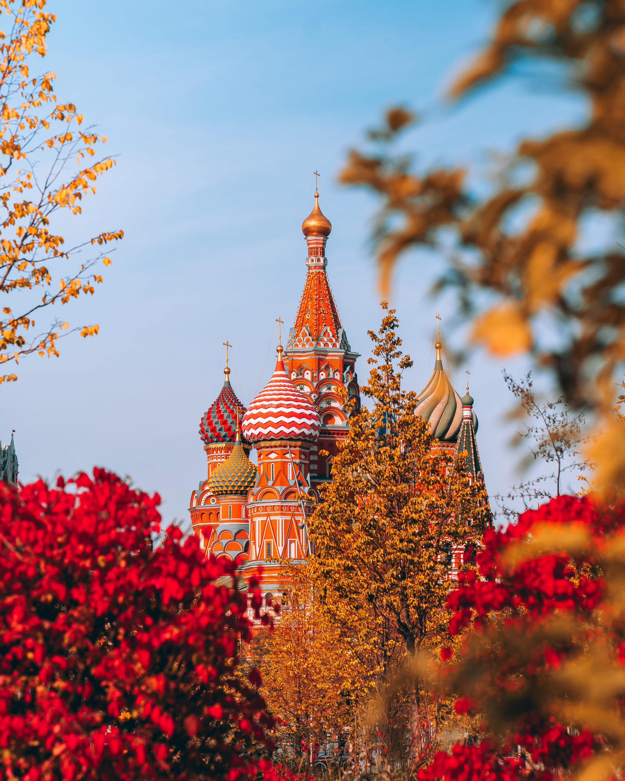 Russia Moscow and Saint Petersburg classic sights 8 days tour